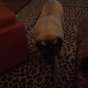 Meet your Posher, Mary